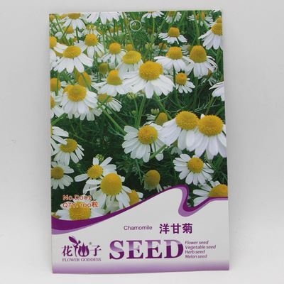 草花彩袋種子 彩包花卉種子【洋甘菊】家庭種植實(shí)用裝 約50粒-宿遷市國豪園林工程提供草花彩袋種子 彩包花卉種子【洋甘菊】家庭種植實(shí)用裝 約50粒的相關(guān)介紹、產(chǎn)品、服務(wù)、圖片、價(jià)格宿遷市國豪園林工程、種苗、花卉種子、園藝用具、盆栽、綠化苗木
