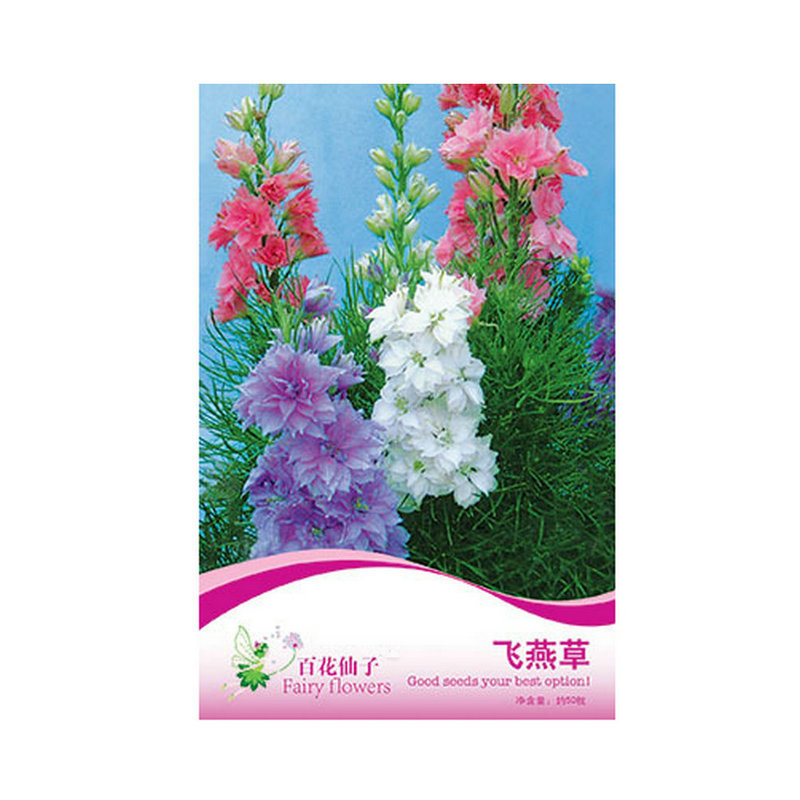 廠家供應(yīng) 飛燕草種子 陽臺(tái)盆栽四季種植花卉種子 百花仙子花卉