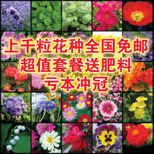 【陽臺(tái)花卉種子套餐】_綠植園藝價(jià)格_最新最全綠植園藝返利優(yōu)惠_一淘網(wǎng)