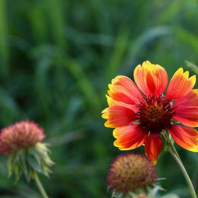 價格 廠家 中國供應(yīng)商