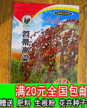 【紅高粱種子】最新最全紅高粱種子 產(chǎn)品參考信息