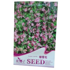 錦萱 花仙子系列 矮雪倫種子 別名大蔓櫻花 家庭種植實(shí)用裝 庭院別墅 陽臺(tái)室內(nèi)盆栽花卉種子 庭院花種子 瓜果蔬菜種子 【錦萱】 價(jià)格 報(bào)價(jià) 圖片