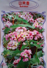 【苦薺麥】最新最全苦薺麥 產(chǎn)品參考信息