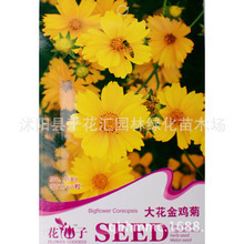 盆栽金雞菊_盆栽金雞菊價(jià)格_優(yōu)質(zhì)盆栽金雞菊批發(fā)/采購 