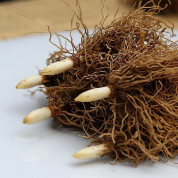 鈴蘭綠植某東分檔排行:16款高中低檔鈴蘭綠植