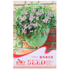 辦公室花卉選購(gòu)指南 種類(lèi)、成本與種子種植全解析