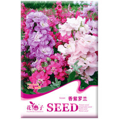 辦公室花卉選擇與種植指南 品種推薦、價(jià)格解析與花卉種子簡(jiǎn)介